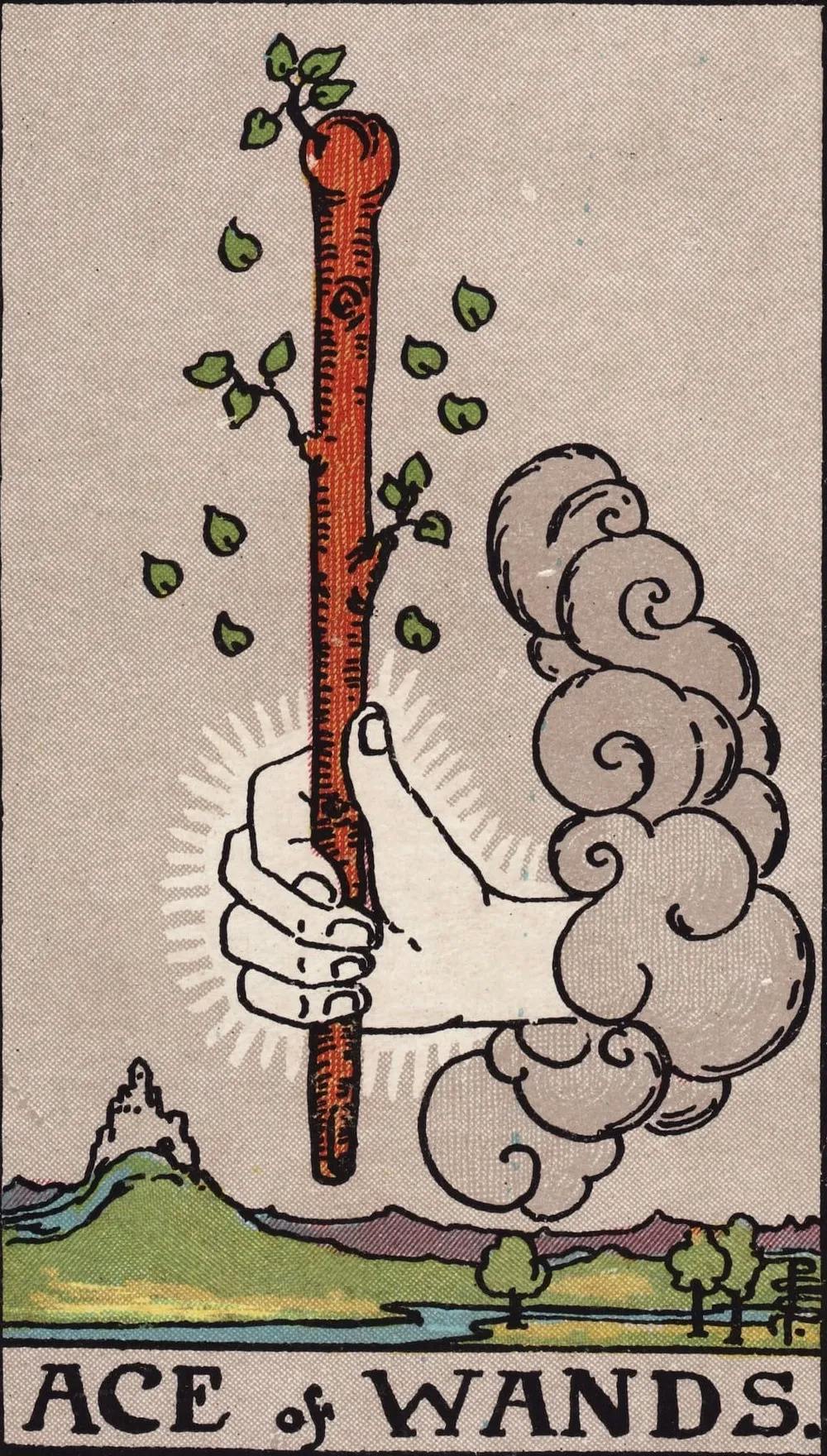 Ace of Wands Card